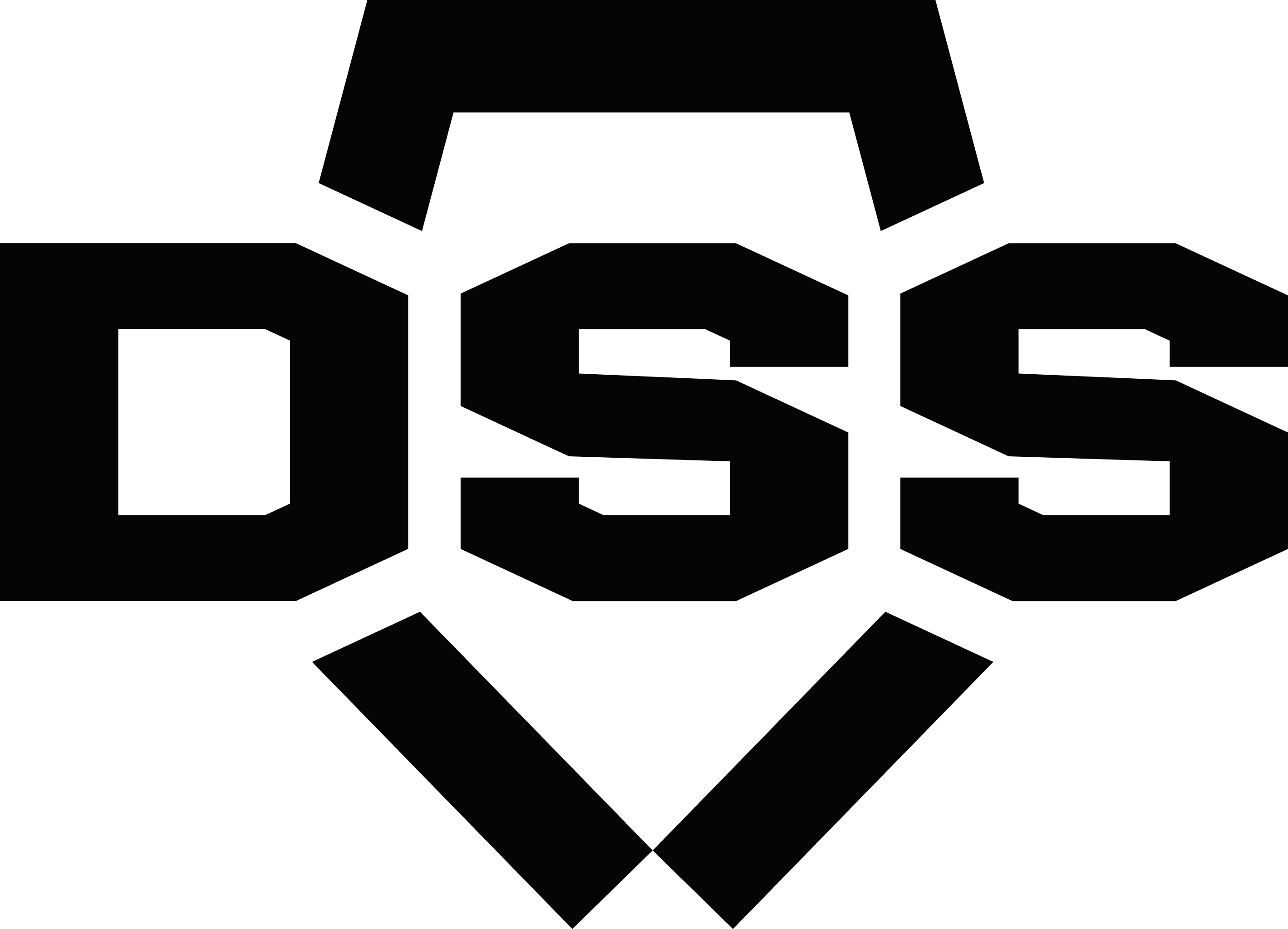 DSS a.s.