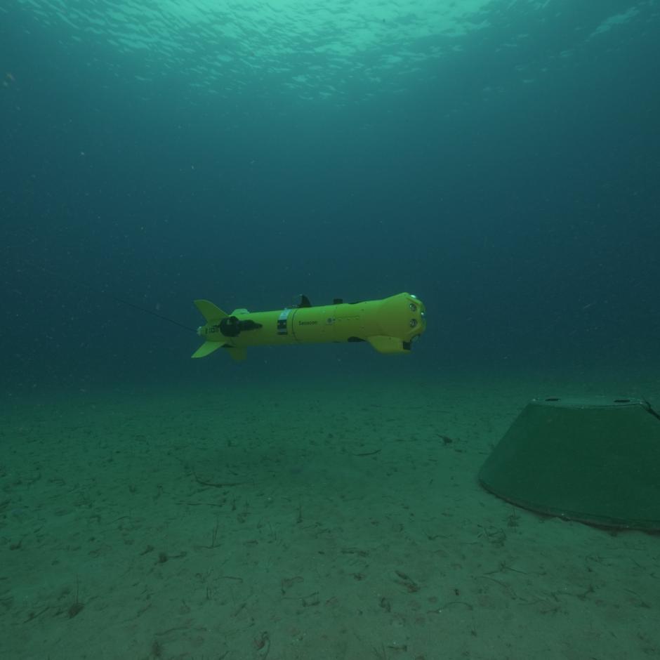UMIS - Unmanned MCM Integrated System