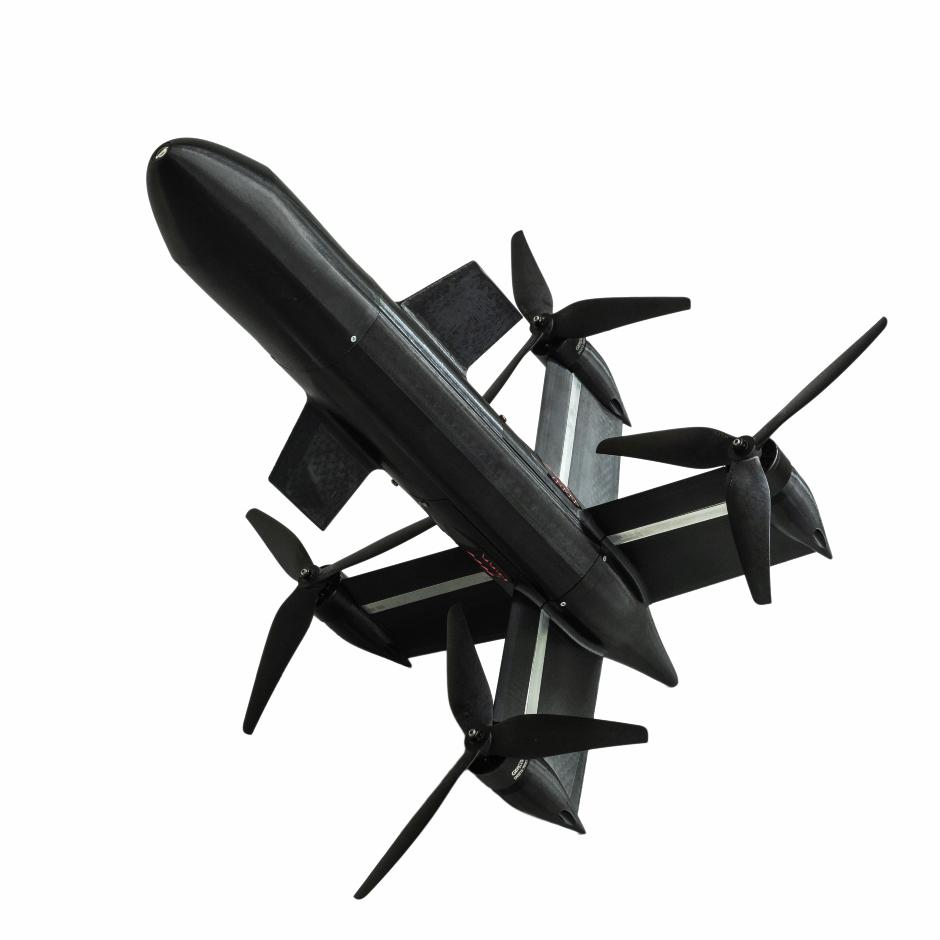 Black Wasp