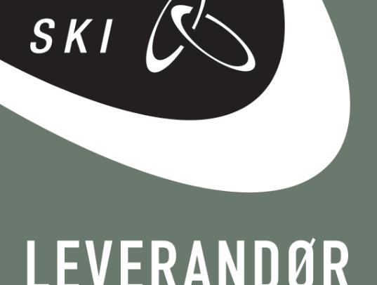 Devoteam sikrer stærk position på SKI 02.15-rammeaftalen i samarbejde med førende partnere!