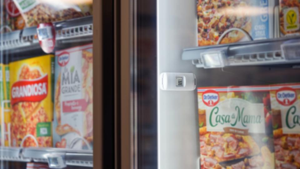 Verdens mindste sensor